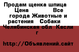 Продам щенка шпица.  › Цена ­ 15 000 - Все города Животные и растения » Собаки   . Челябинская обл.,Касли г.